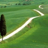 Chianti