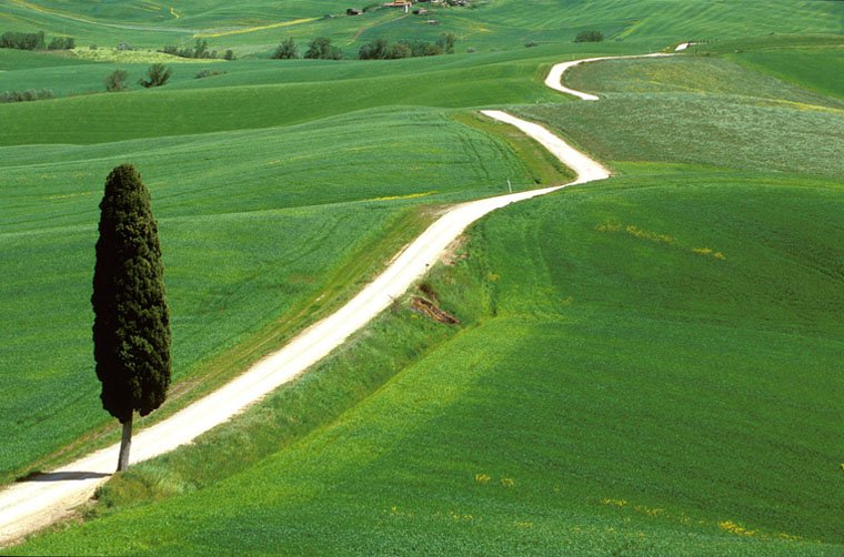 Chianti