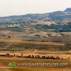 Valdorcia