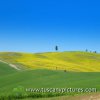 Val d'Orcia